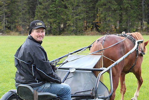 Pauli Raiviolla on ollut monta lahjakasta suomenhevosta. Aron Viimassa on ainesta pitkälle.