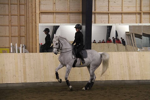 Anna Kärkkäinen ja Elves Angel tulevat demoratsukoksi Andrew McLeanin klinikkaan.