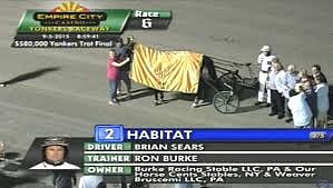 Habitat uransa suurimman saavutuksen äärellä kuukausi sitten Yonkers Trotin voittajaseremonioissa.