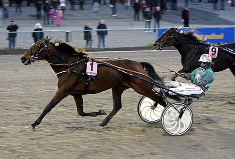 Moonlight Love ja Hannu Torvinen sinetöi lauantain ison ravipotin.