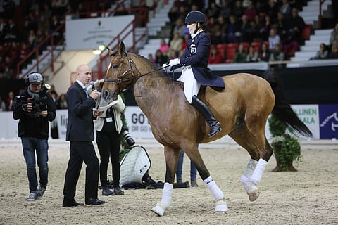 Suitset ja satula pois ja vielä yksi kunniakierros.