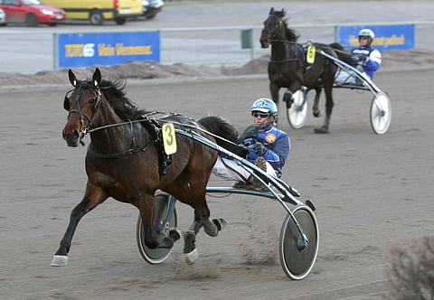 Joe di Maggion voittosummaksi jäi 135 100 euroa. Ruunan ennätykset kirjataan lukemin 11,9ake ja 14,6kp.