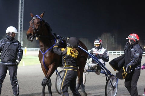 Callela Ladyboss oli tammojen Kasvattajakruunussa kuin toiselta planeetalta, Kallelan planeetalta.