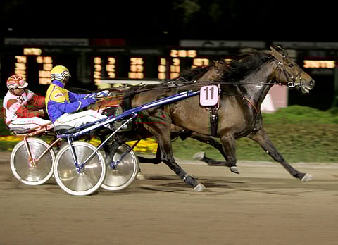 Get Going Grace on onnistunut Vermossa ennenkin. Kuvassa sitä ajaa Kari Venäläinen, illalla oma valmentaja Ari Hartikainen.