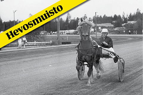 Lukijan hevosmuisto: Jokainen on yksilö, hevonenkin!