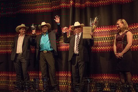 Jokivarren Kunkkua juhlittiin Lapin Vuoden hevosena.