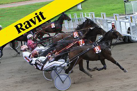 Prix d’Amérique suorana MTV Maxilla