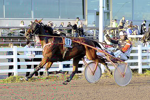 Evelyn Sundance on pärjännyt suurillakin lähtönumeroilla.