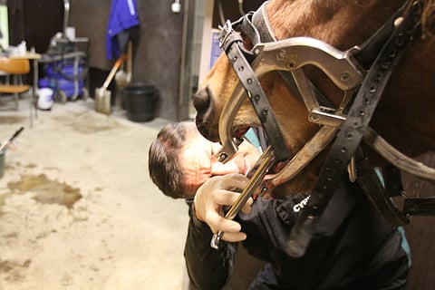 Cyril Rocher työssään. Kuva Harri Lind.