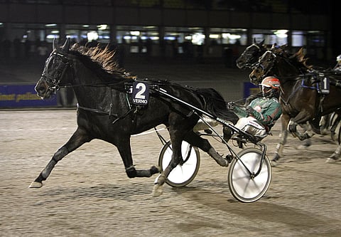 Downander jatkoi nuorten ohjastajien esiinmarssia tuomalla Hannu Torvisen, 24, framille.
