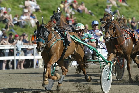 V.H. Suvittaren tie kolmanteen ravikuningattaren titteliin alkoi avausmatkan voitolla Rovaniemellä vuonna 2004. Ari Moilanen ajoi kaikki tamman seppeleet. Kuva Juhani Länsiluoto.