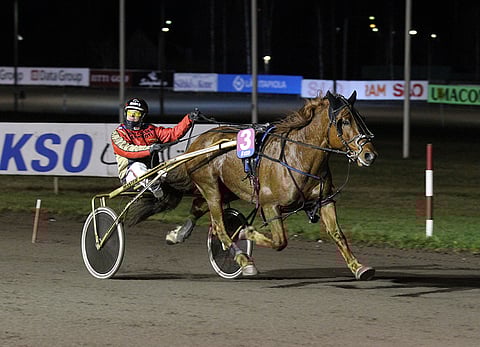 Camri sai eniten ääniä Hevosurheilun Kuukauden ravuri -äänestyksessä marraskuussa. Kuva: Jarno Unkuri.