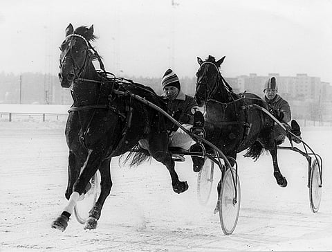 Charme Asserdal ja Madrigal viimeistelyhiitillä Vermossa ennen kauden avausta maaliskuun alussa 1981.