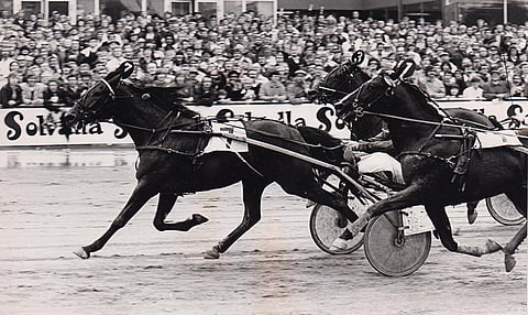 Charme Asserdal kukisti finaalivoittaja Ideal du Gazeaun ja Madison Avenuen kolmannen ja viimeisen Elitloppetinsa karsinnassa 1980.