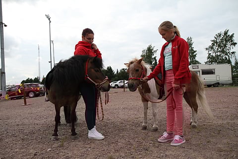 Porin ravirata nousi maakuntaratavertailun korkeimpaan kokonaiskeskiarvoon. Kuvassa radan ponit, jotka viihdyttävät lapsia ravitapahtumissa. Kuva: Riikka Aaltonen