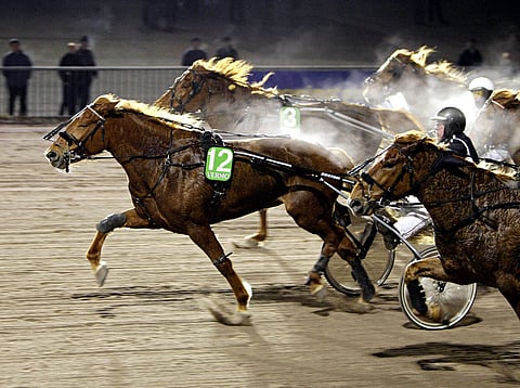 Suomenhevosten Fast Cupin karsinat oli jännittävä matkalla ja viime metreillä. Venli ja Jouni Riikonen työntyivät "kalkkiviivoilla" kärkeen.