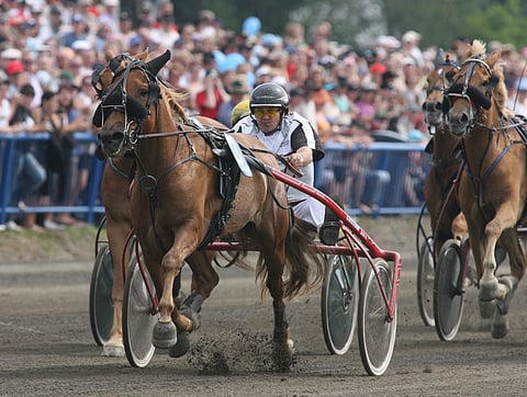 B. Helmiina voitti 2008 Jyväskylän kuningatarkilpailun mailin, mutta jäi kokonaiskilpailussa toiseksi. Velin Vinkeellä ja B. Helmiinalla oli sama kokonaisaika, mutta päätösmatkan sijoitus ratkaisi. Kuva Juhani Länsiluoto.
