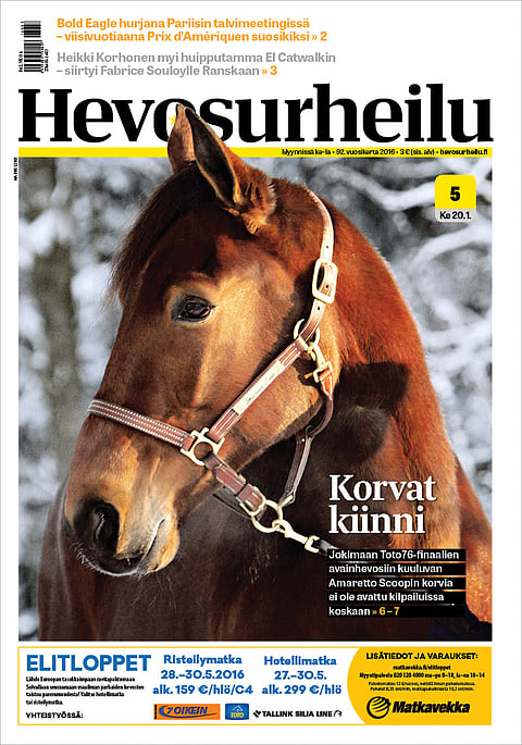 Lähikuvassa Amaretto Scoop