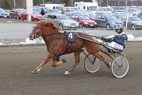 Jamir on Sorsasalon avauskohteen suosikki.