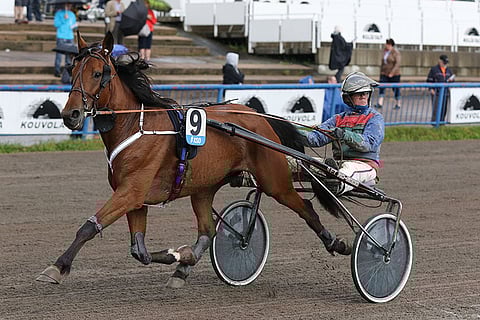 Lyckliga Lotta olisi todellinen potintekijä Teivon Toto5-avauskohteessa.