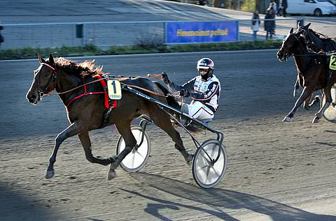 Callela Eliza kohtaa eurooppalaiset kolmevuotiaaat Pariisin kilpailussa.