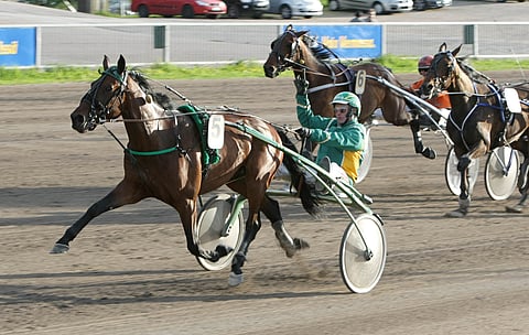 Jamieson on hyvä Toto65-varma, vaikka sen peliprosentti nousisikin.