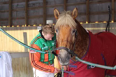 Antti Tupamäki ja Polara Äimäraution valjastuskatoksilla voiton jälkeen.