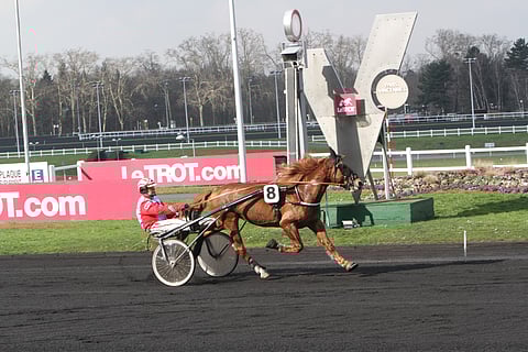 Villikunkku ja Harri Koivunen.