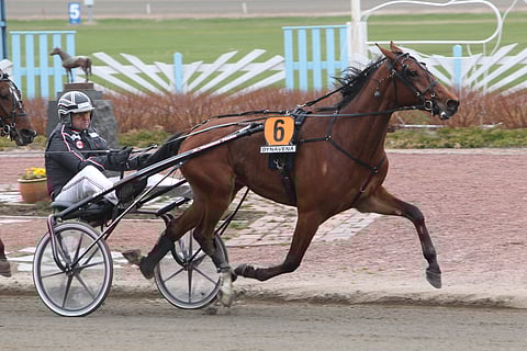 Viime kevään ja alkukesän aikana ikäluokkalähdöissäkin pärjännyt Rooney on juossut pitkän tauon jälkeen kerran. Teuvo Kivivuoren nykyisin valmentama nelivuotias pystyy onnistuessaan ottelemaan Teivon tämän illan toisen Toto5-kohteen voitosta.