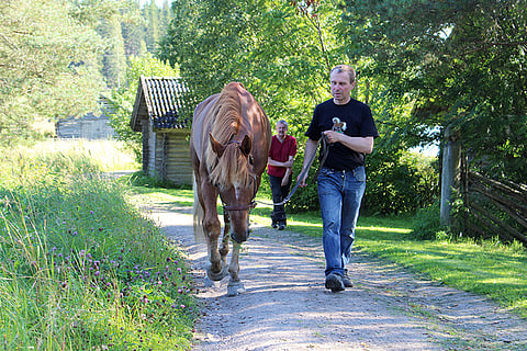 Vaellus jatkaa tänään Toto75-ideavihjeen varmana.