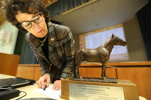 Ansioituneiden nelivuotiaiden suomenratsujen kasvattajapalkinto annettiin Ypäjän kasvatille. Päivi Laine kertoo, että pronssipatsaan jalustaa aiotaan korottaa, jotta vielä toiset kymmenen nimeä saadaan mahtumaan. Vasta tämän jälkeen kiertopalkinnon lunastaa joku onnellinen.