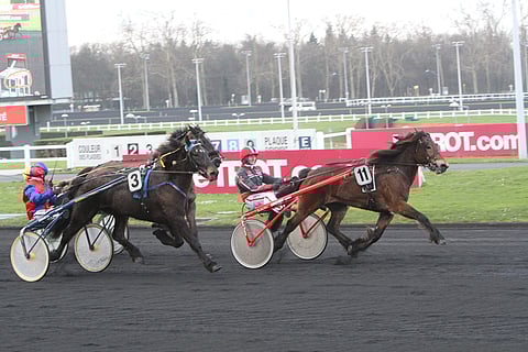 Gunnar Austevoll saa istua tyynenä, kun Finnskog Fokus polkee voittajana maaliin. Franck Nivard toteaa Guli Raskin rattailla, että Aaron Hem laukkaa. Kuva Harri Lind.