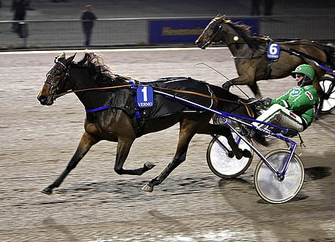 Ecstasy Of Gold on Kouvolan Toto4-pelin avainhevonen.