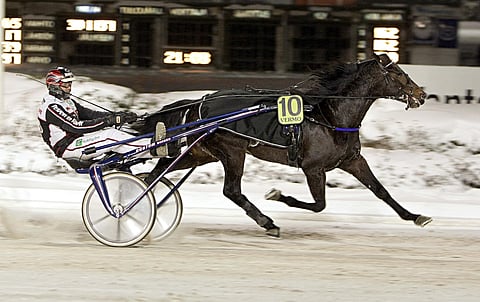 Personal Trainer on ensimmäinen päivän varmavalinnoista.