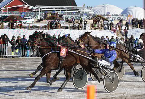 Mika Jauhola & Bear a Title.