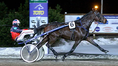 Voltin ykköspaikalta kiihdyttävä Jasulito kelpaa varmaksi Teivon tämän illan Toto5-peliin.