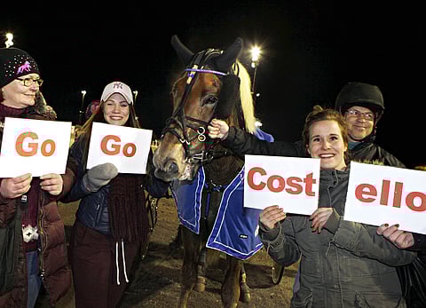 Costellolla oli voittajakehässä omat fanit.