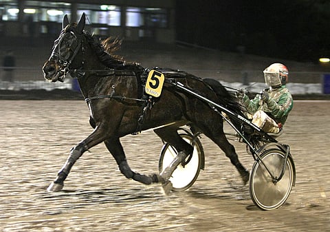 Downander ja Hannu Torvinen olivat aivan omaa luokkaansa Vermon rapaisella kaviouralla.