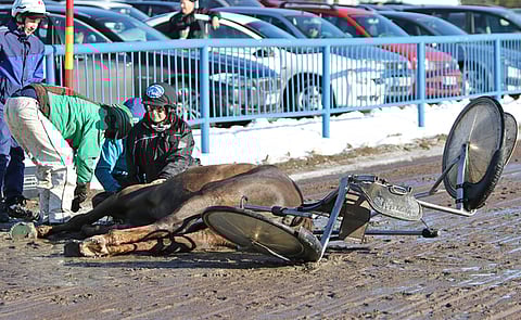 Raineri Puikkosen valmentama ja ohjastama Veeran Poika kaatui lämmityksen aikana radan etusuoralla.