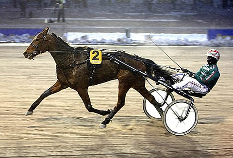 Dreambow on maistuva ideavarma sateiseen Toto65-iltaan.