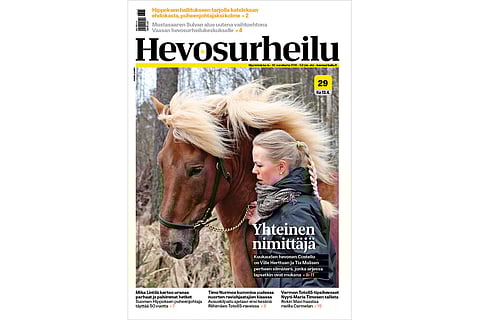 Kuukauden hevonen Costello on perheyritys