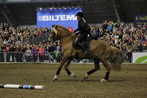 Ponuveikko ja Anu Dahlberg esiintyivät viime vuonna Hevoset-messuilla.