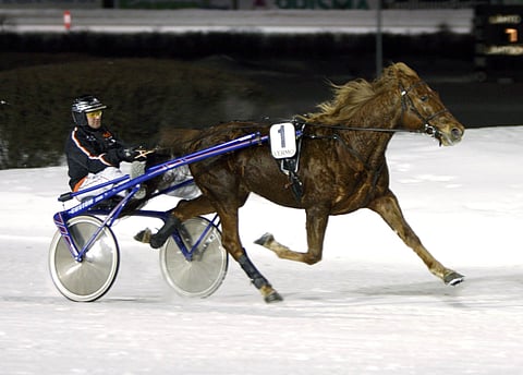 Kotiradan Ice Cube voi räjäyttää Toto4-potin Forssassa.