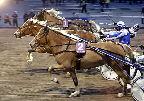 Kilvanajoa parhaimmillaan. Carmela työntyy keskeltä ykköseksi, sisällä tsemppaa Juliette Lax ja ulkoa kirii yllättäjä Salasana.
