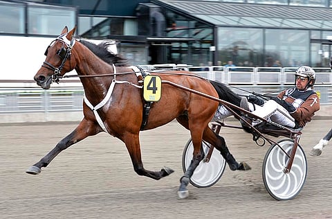 Daniel Redénin lempitamma taistelee elämästään.