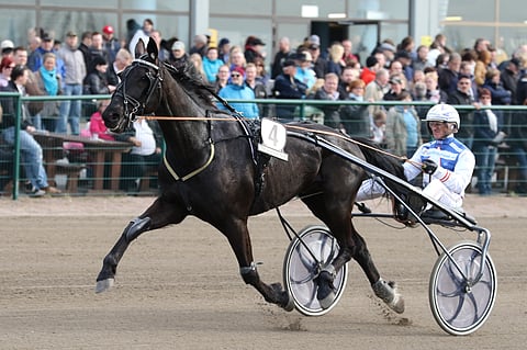 Edward Ale siirtyy valmennukseen Pirjo Vauhkoselle. Viime lauantain Seinäjoki-Racessa hevosta ohjasti Peter Ingves.
