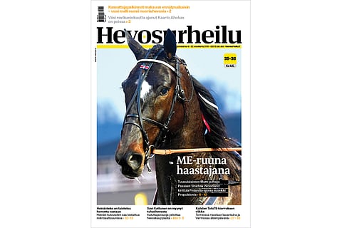 48 sivua hevosasiaa. Kannen kuvassa Shadow Woodland.