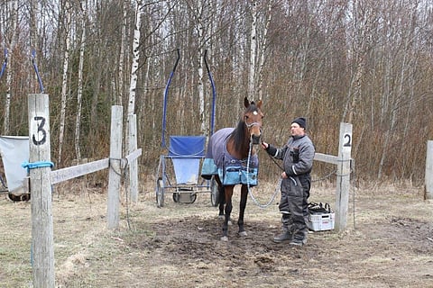 Vielä kaksi viikkoa sitten Veli-Matti Heinonen valmensi Felicia Factoria Kokkolan radalla hyisissä olosuhteissa.