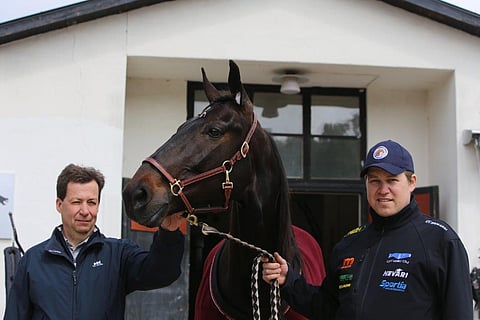 Antti Ojanperä löysi talliinsa pitkään etsimänsä avointen sarjojen lämminverisen.
