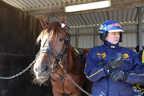 Seppo Suurosen valmentamalla Iinan Maestrolla on kotiradalla sopiva tehtävä.
